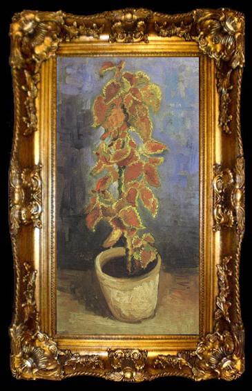 framed  Vincent Van Gogh Coleus Plant in a Flowerpot (nn04), ta009-2
